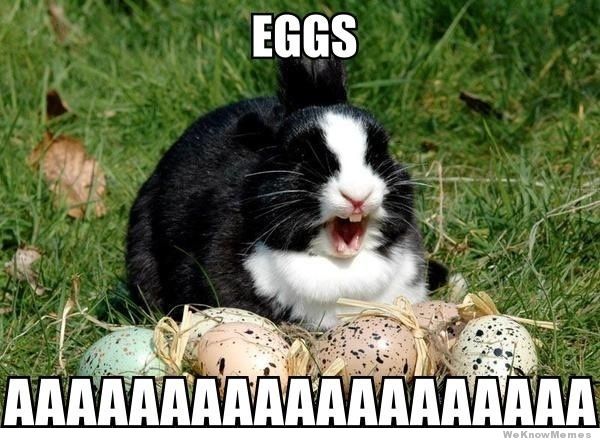 FIYAAAAAAAH!!! *Cue Retardedly Catchy Euro Techno* - Page 2 Easter-bunny-meme-eggs
